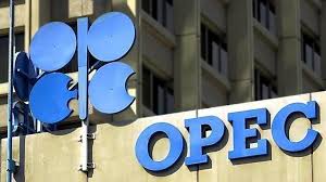 Brazil plans to start talks on joining OPEC in July 102212020_download%20(3)