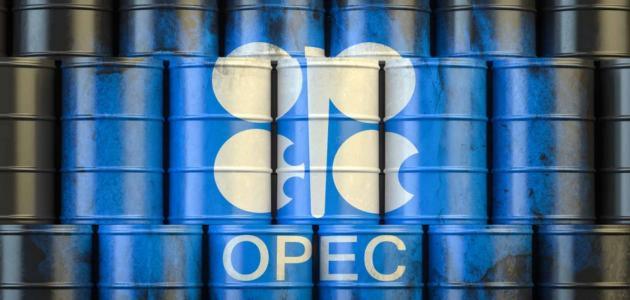 Insiders: Expectations to postpone the "OPEC +" meeting and most parties are ready to cut production 10442020_8888888888