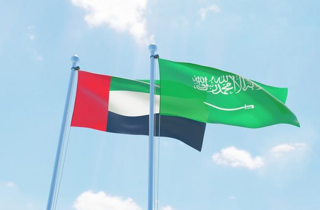 project - Launching a transient project to issue a common currency between the UAE and Saudi Arabia 63012019_Saudi_Arabia_and_the_UAE5