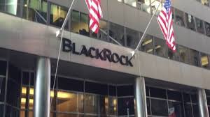 Black Rock CEO: The world will see stock markets rise in 2020 929102019_download%20(3)